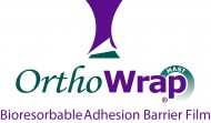 OrthoWrap_int_logo